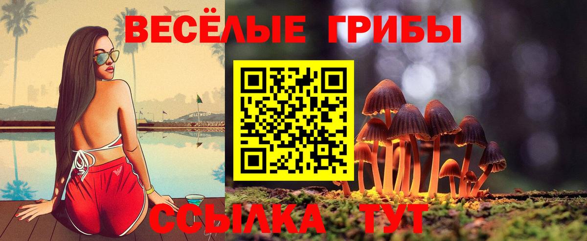Псилоцибиновые грибы Cubensis  Галлюциногенные грибы MAGIC MUSHROOMS  Вход с VPN  Россия 